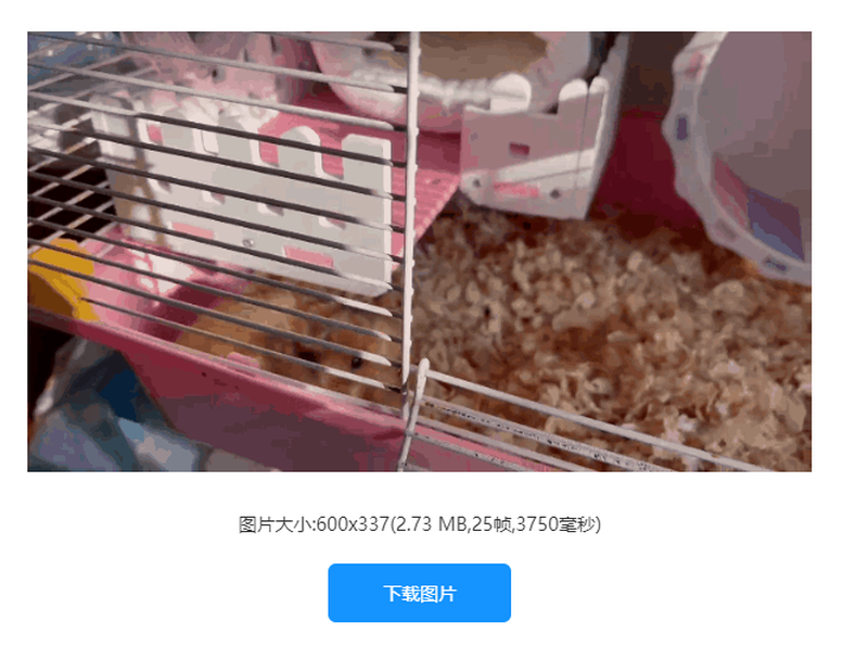 怎么修改gif圖片尺寸？一鍵教你快速修改gif大小/