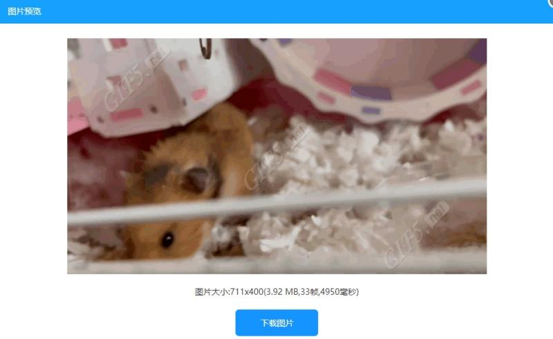 如何將視頻轉換為GIF動圖?生成視頻GIF圖片方法/
